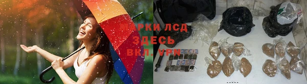 spice Абаза