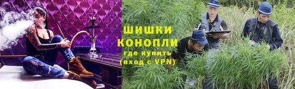 spice Абаза