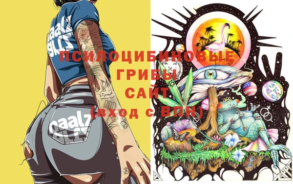 spice Абаза